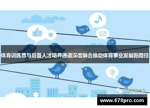 体育训练营与后备人才培养通道深度融合推动体育事业发展新路径